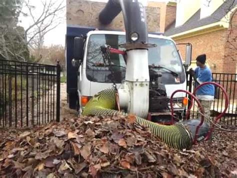 It'll take the better part of an afternoon if you have a few large cacti to. Best way to remove leaves from a yard - YouTube