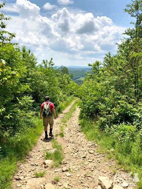 The 5 Best Hikes In West Virginia For Amazing Views West Virginia