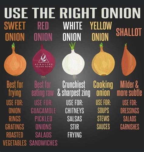 Pin By Judy On Vegetables Vegan News Types Of Onions Eating Raw