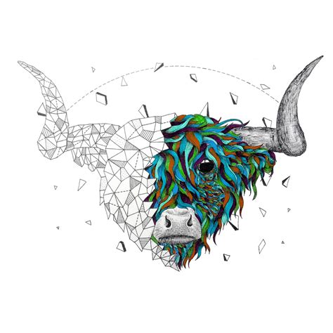 Highland Cow Png Images Transparent Free Download Pngmart