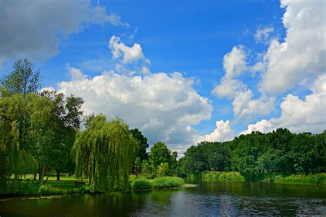 Free Images Landscape Tree Nature Cloud Meadow Lake River