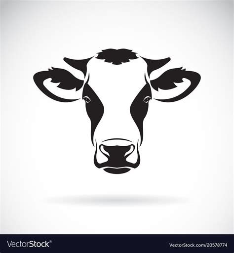 Cow Head Design On White Background Farm Vector Image