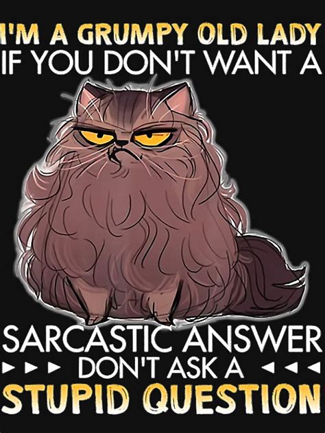 Im A Grumpy Old Lady If You Dont Want A Sarcastic Cat T T Shirt