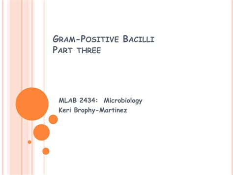 Ppt Gram Positive Bacilli Part Three Powerpoint Presentation Free