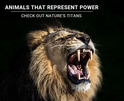 Animals That Represent Power Check Out Natures Titans