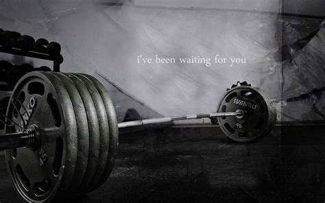 Free Download Bodybuilding Quote Wallpaper 19416 1920x1200 For Your
