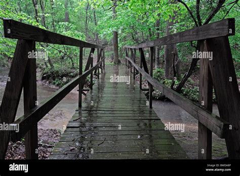Rain Fall Falling On Wet Wooden Wood Foot Bridge Footbridge Grayson