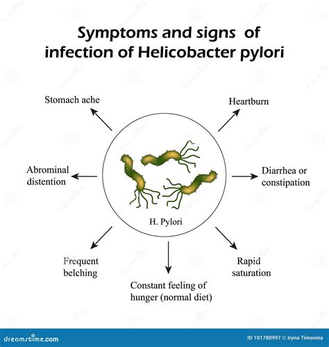 Helicobacter Pylori H Pylori Infection Causes Symptom Natural Hot Sex Picture