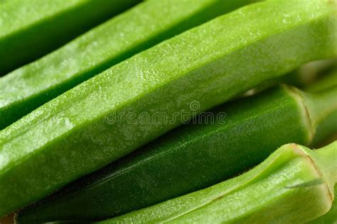 Fresh Green Okra Organic Vegetable Asian Food Ingredients Stock Photo