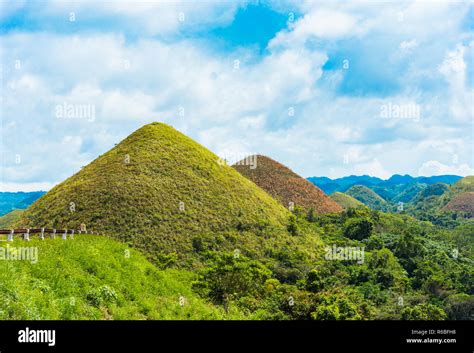 View Of The Chocolate Hills On Sunny Day On Bohol Island Philippines