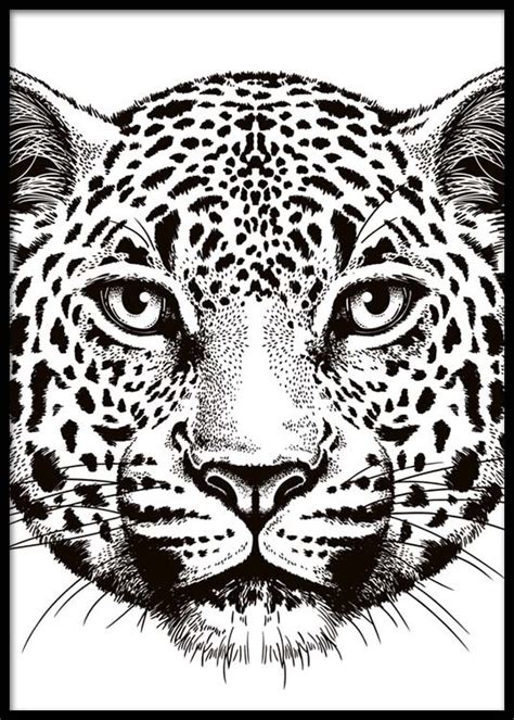 Leopard Face Poster