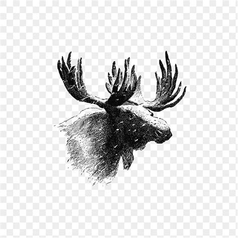 vintage european style moose engraving premium png sticker rawpixel
