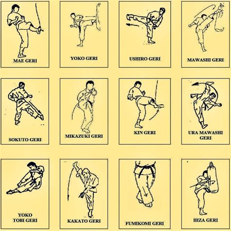 List Of Karate Kicks With Instructions Black Belt Wiki Kyokushin Karate Shotokan Karate