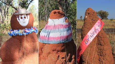 Australians Think Its Very Funny To Put Clothes On Termite Mounds Vice