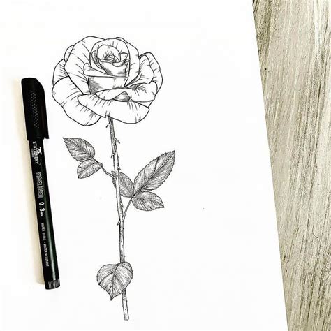 Learn How To Draw Roses With These Easy References And Tutorials