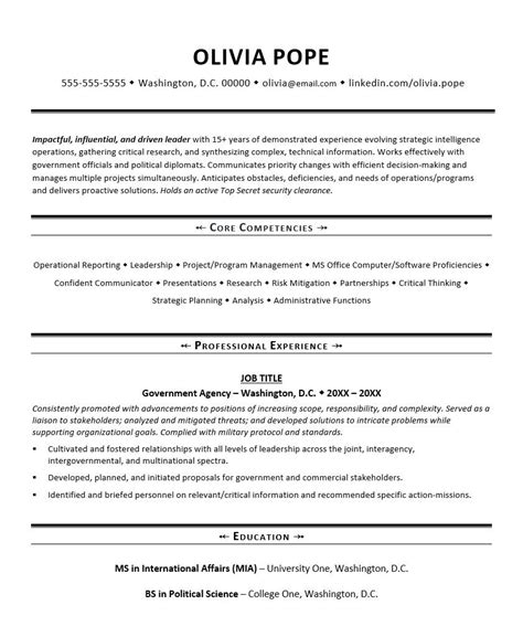 Government Resume Template Monster Com