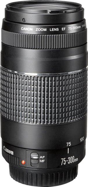 Canon Ef 75 300mm F4 56 Iii Telephoto Zoom Lens Multi 6472a002 Best Buy