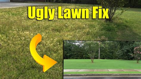 Fixing Ugly Lawn Full Of Weeds Youtube