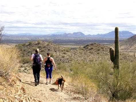 Dixie Mountain Hiking Trail Rolling Hills And Fun Features In Phoenix