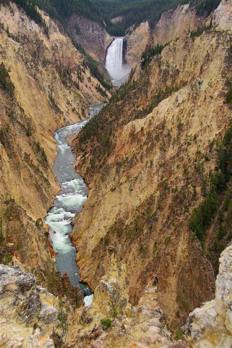 The Grand Canyon Of Yellowstone Lower Falls 2 Photograph By Raymond