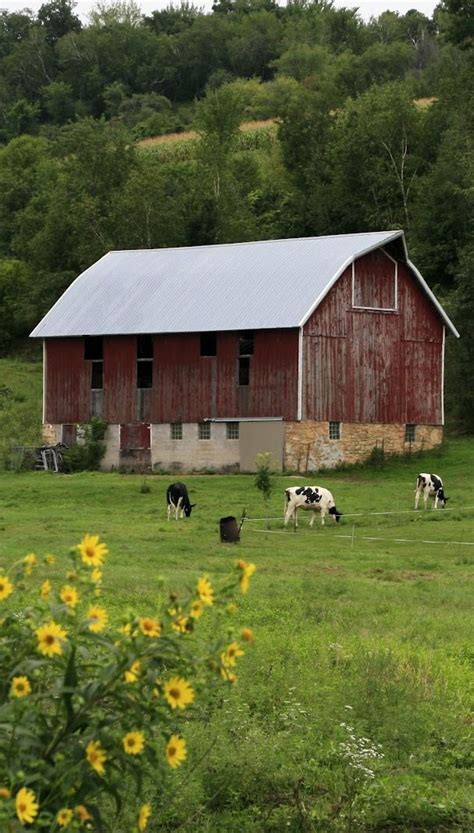 147 Best Dairy Farms Images On Pinterest Res Life Barns