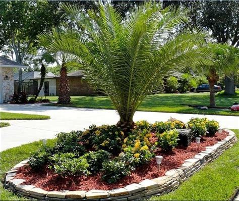 Small Palm Trees For Your Front Yard A Guide To Choosing The Right Ones