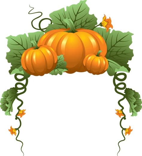 Pumpkin Vine Png Free Logo Image
