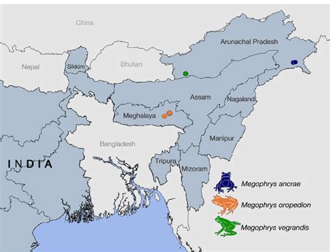 Map Of Northeastern India Shaded Grey And Adjoining Countries White