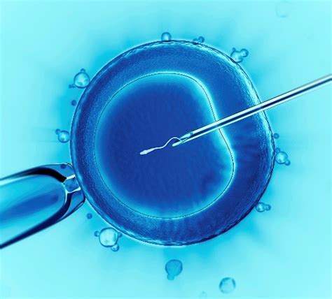 Icsi Key Findings Assisted Reproductive Technology Art Cdc