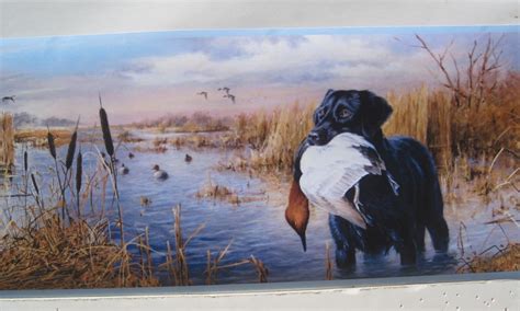 Free Download Labrador Retriever Dogs Duck Hunting Wallpaper Border 6