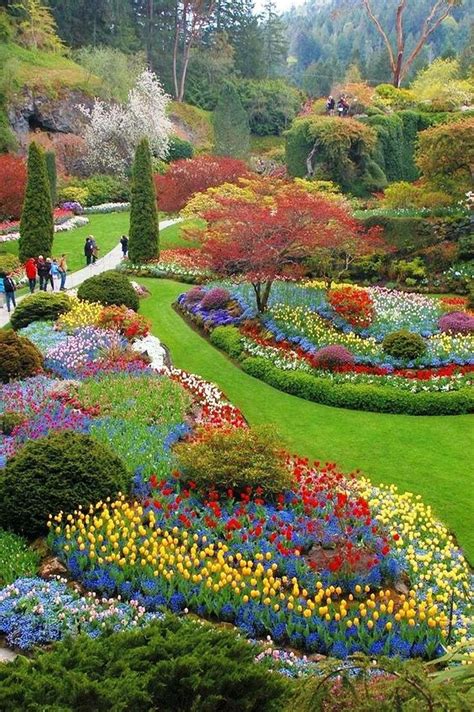 Butchart Gardens Victoria Vancouver Island Canad Beautiful Flowers
