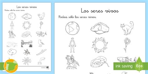 Los Seres Vivos Ficha De Actividad Hecho Por Educadores