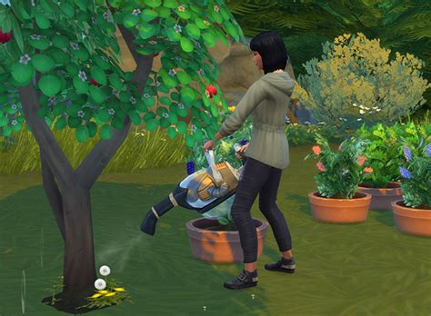 Sims 4 Gardening Mods Nimfaidea