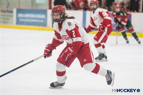 There are many types of hockey such as bandy, field hockey, ice hockey and rink hockey. Belle Tire, St. Clair Shores form new girls' hockey ...