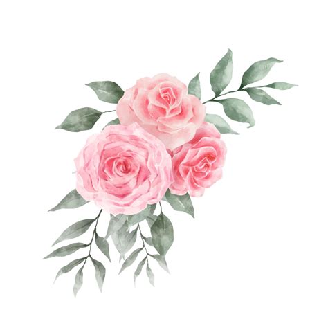 Vector De Acuarela De Flores Rosas Rosadas Y Rojas Aislado Sobre Fondo