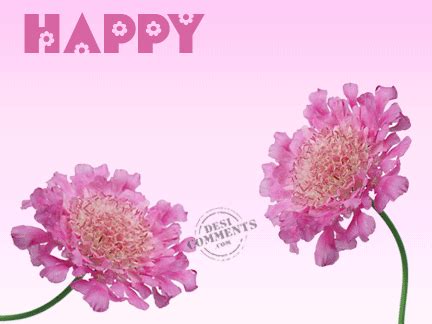 Share a gif and browse these related gif searches. International Women's Day 2017 Animated & 3D GIF For Whatsapp & Facebook