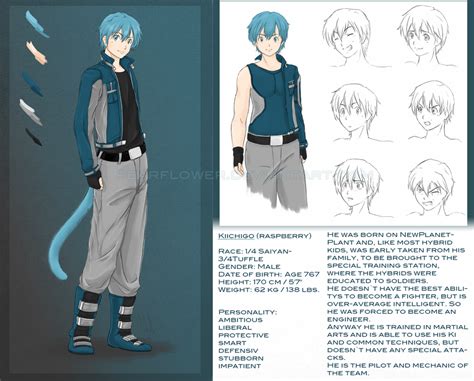Character Sheet Kiichigo By Pearflower On Deviantart