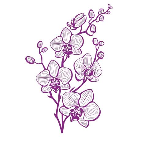 Épinglé Par Gunirenehansson Sur Blommor Dessin Orchidée Croquis De