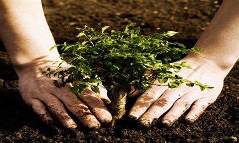 Unified soil classification and is classification system. 5 Different Soil Types - Know Your Soil Type | GROWTH AS ...