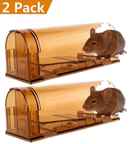 05 Best Mouse Trap Reviews 2020 Pros Cons Types Of Mouse Traps