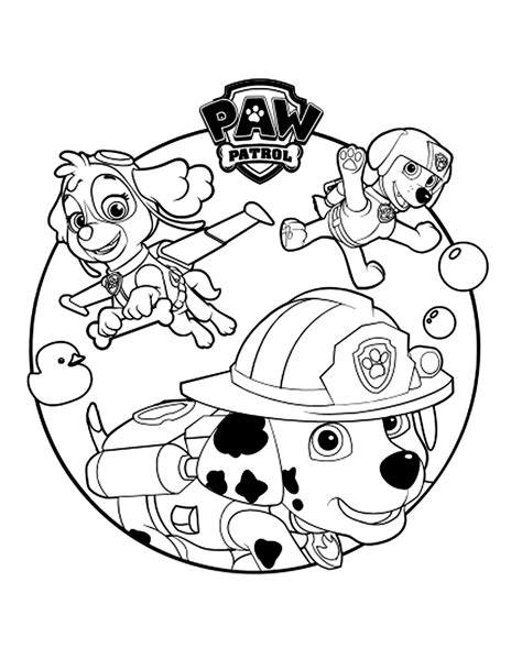 Coloriage Anniversaire Pat Patrouille  Imprimer Et pour Coloriage Pat