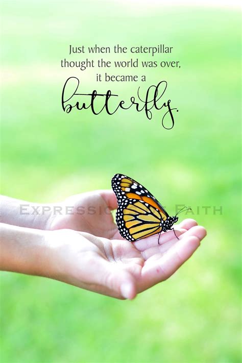 Https://tommynaija.com/quote/caterpillar To Butterfly Quote