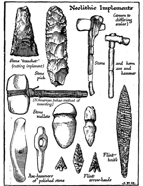 The New Stone Age Stone Age Art Early Humans Tools Stone Age