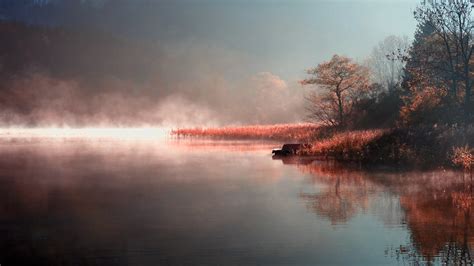 Misty Autumn River Wallpaper Nature And Landscape Wallpaper Better