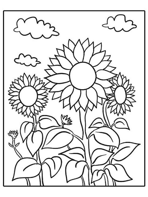 Sketsa Gambar Bunga Matahari Dalam Pot Retorika Vrogue