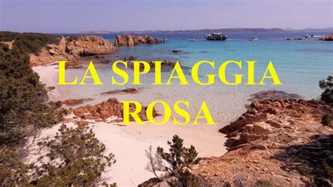 La spiaggia rosa dell'isola di budelli, una delle più belle al mondo, deve il nome al colore della sabbia, ricca di piccolissimi frammenti di corallo, granito, conchiglie e gusci di molluschi. La Spiaggia Rosa - Isola di Budelli - YouTube
