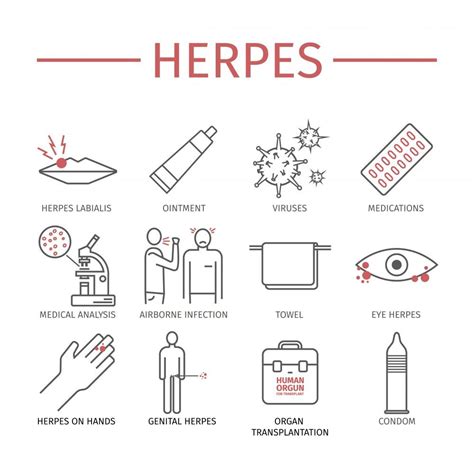 Living With Herpes Causes Symptoms How To Deal With Herpes