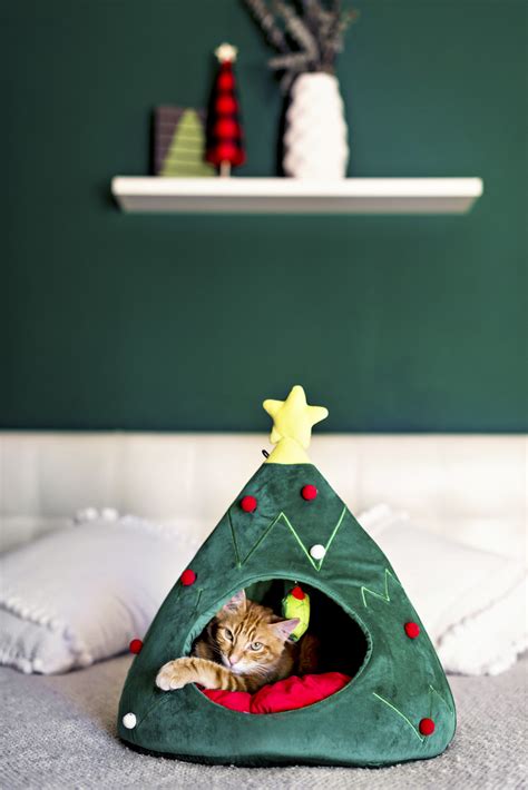 Top 10 Ts For Cats This Christmas In The Know Mom