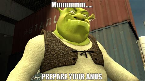 Shrek Shrek Memes New Memes Vrogue Co
