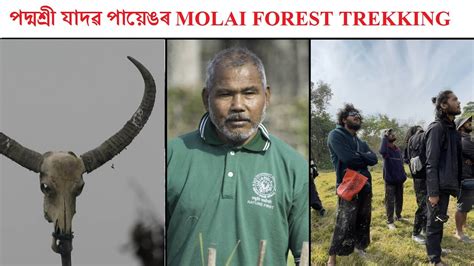 Padmashree Jadav Payengs Molai Forest Molai Forest Trekking Cum